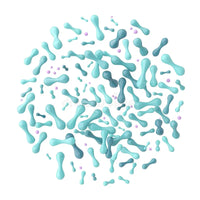 Probióticos Fermentados (Lactobacillus)