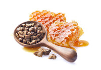 Extracto de Propolis (60%)