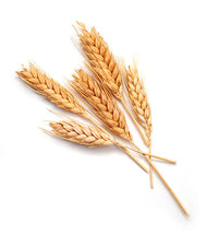 Extracto de cereal fermentado