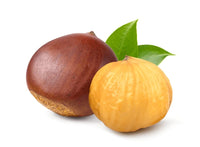 Extracto de castaño