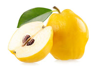 Chaenomeles sinensis (Membrillo chino)