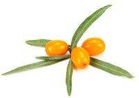 Extracto de Espino Amarillo